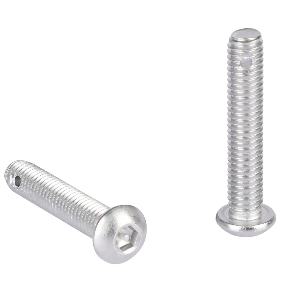 Weatherproof 316 Grade Stainless Steel Tamper-Resistant Safety Screw for Security Equipment