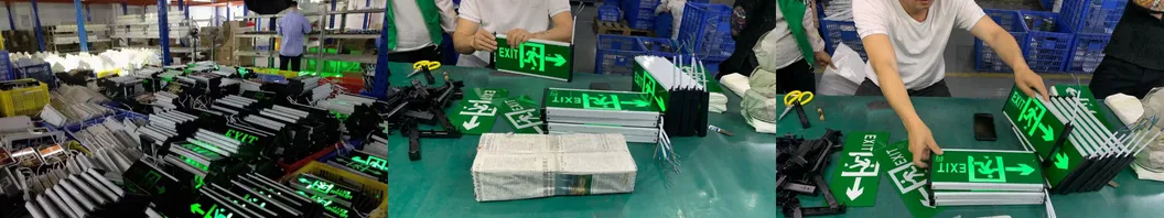 Luz de Emergência de Saída de Segurança com LED Recarga Personalizada para Montagem em Parede / Teto / Suspensa 3 Horas IP65 Acrílico ABS