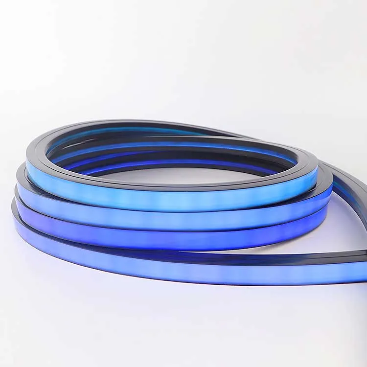 12V 24V Fita de Neon Flex LED RGB Endereçável IP65 Tubo de Silicone à Prova d'Água para Iluminação de Paisagens e Fachadas Externas