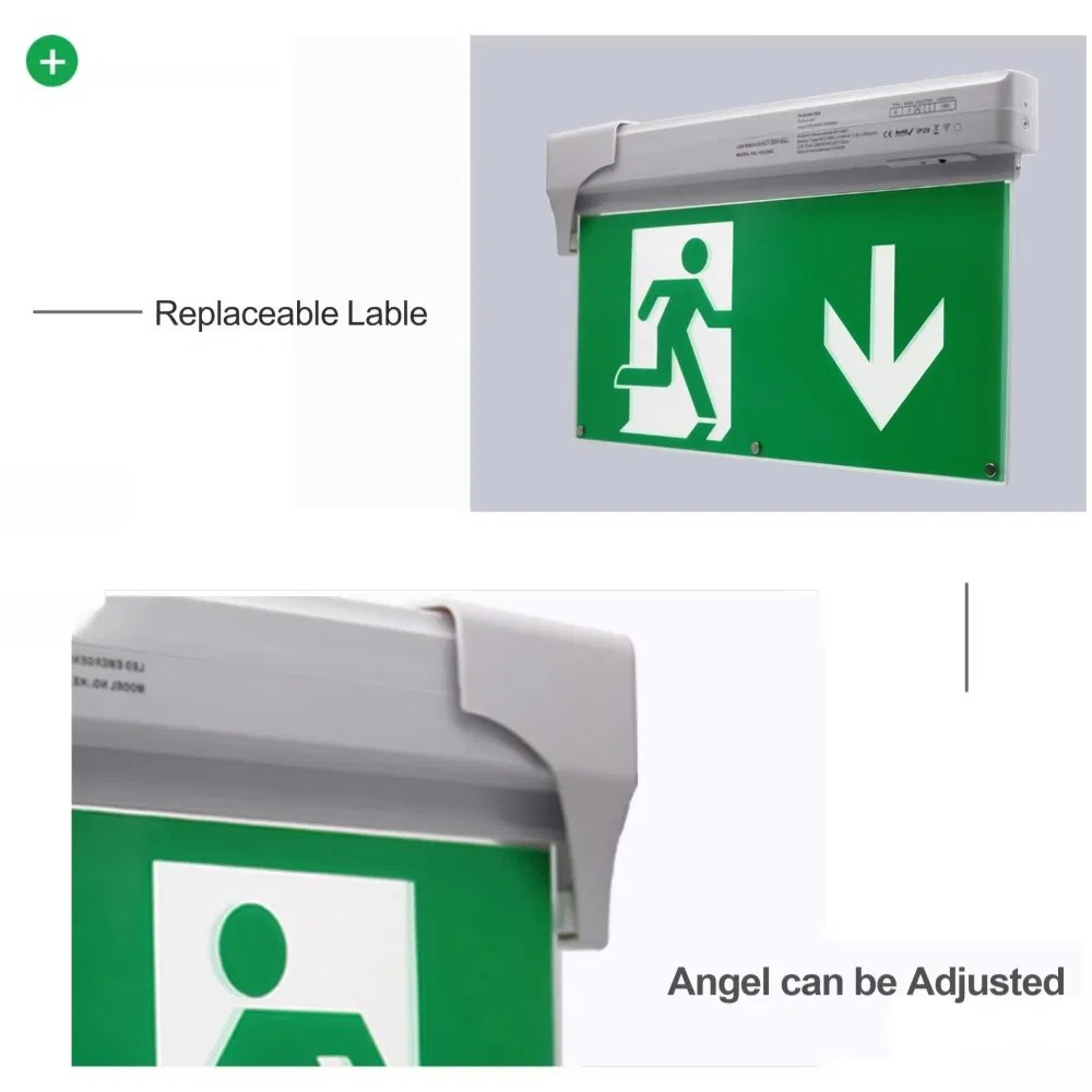 Lanyou LED Emergency Light Exit Sign Wholesale Side Mounted LED Emergency Light Exit Sign Passageway 5-in-1 CE LED Emergency Light Exit