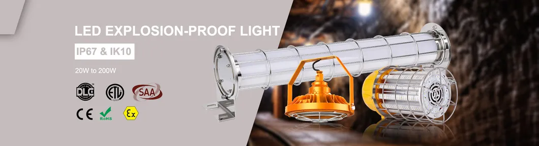 Preço de Fábrica Holofote para Local Perigoso 40W 60W 80W 100W 120W 150W 200W Aprovações Iecex Atex CE Conformidade RoHS Iluminação LED à Prova de Explosão Suspensa