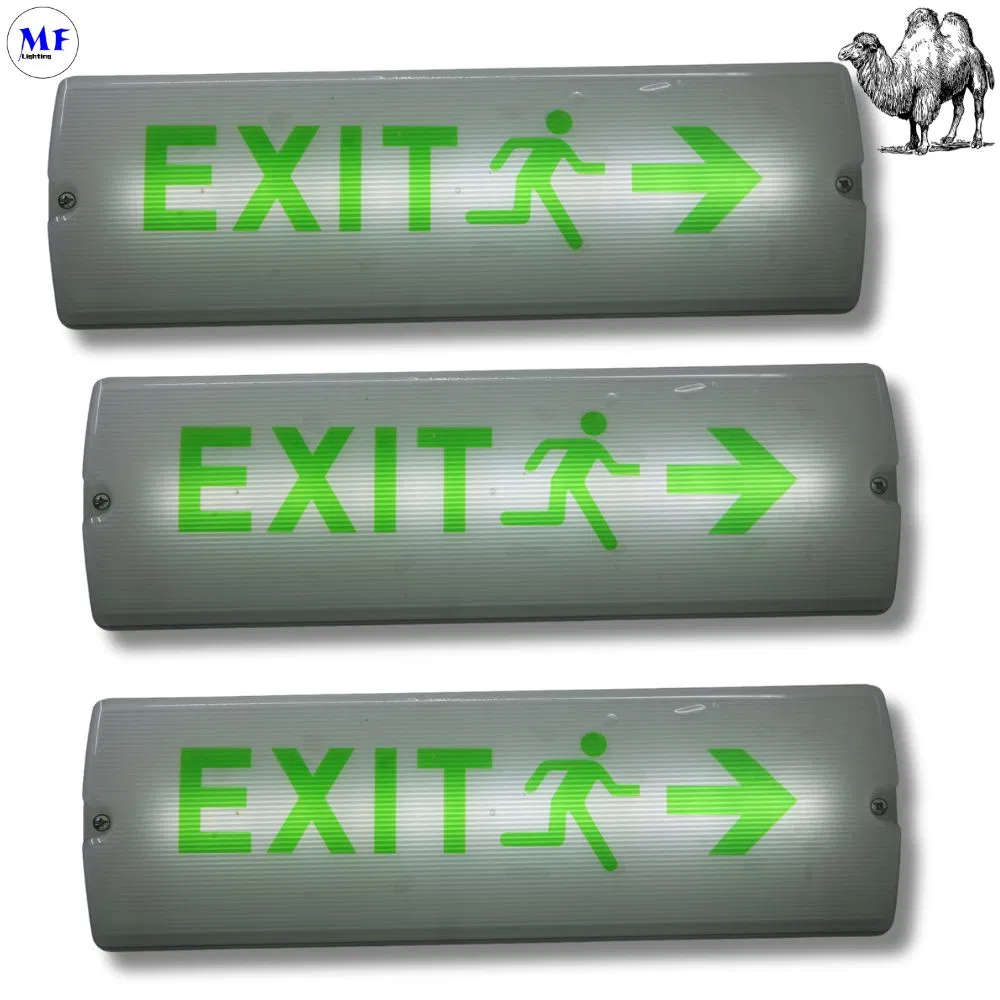 Preço de Fábrica IP65 Sinal de Saída Luz de Emergência para Corredor Estação de Trem Fábrica Hotel Porão Estacionamento Lugar Público