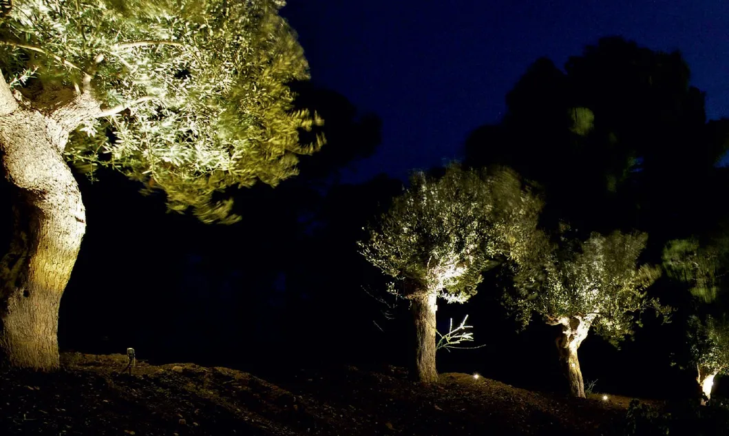 Iluminação de Jardim Externa Spot LED Personalizada RGB 60W