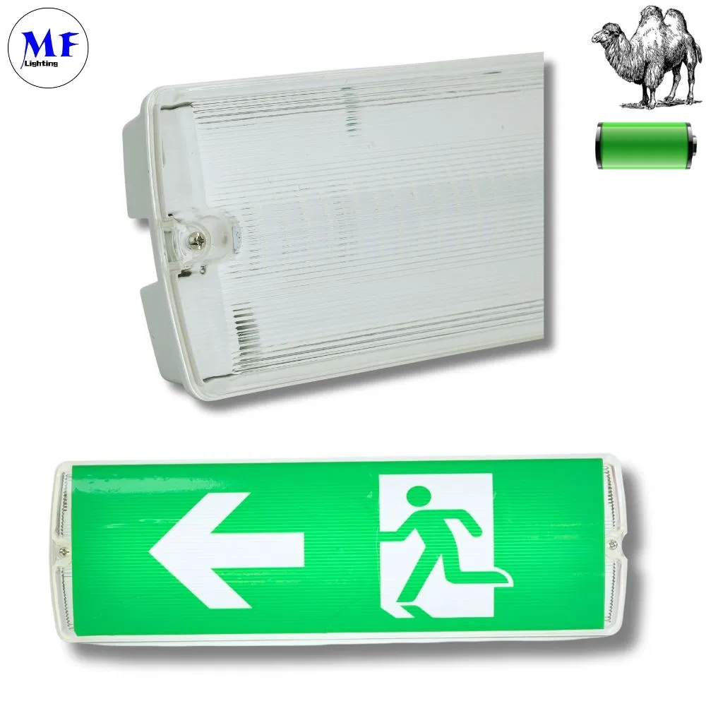 IP65 Luz de Segurança à Prova d'Água para Uso Interno e Externo 24hrs 8W 2835 Luz de Emergência LED com Indicador de Sinal de Saída Montada na Parede SMD para Estacionamento, Hotel, Escola, Escritório