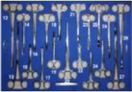 Complete Orthopedic Surgery Instrument Set for Efficient Operations