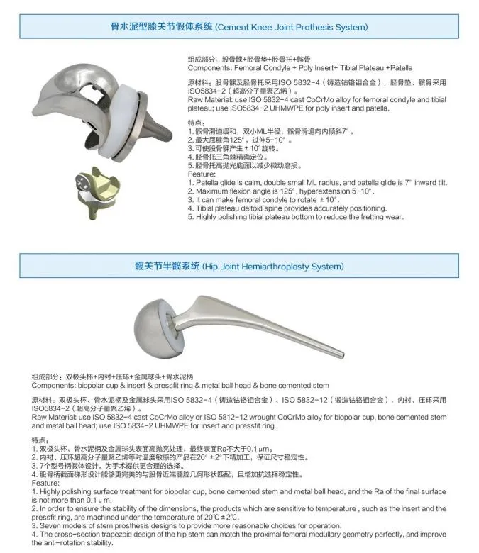 Hip Joint Replacement