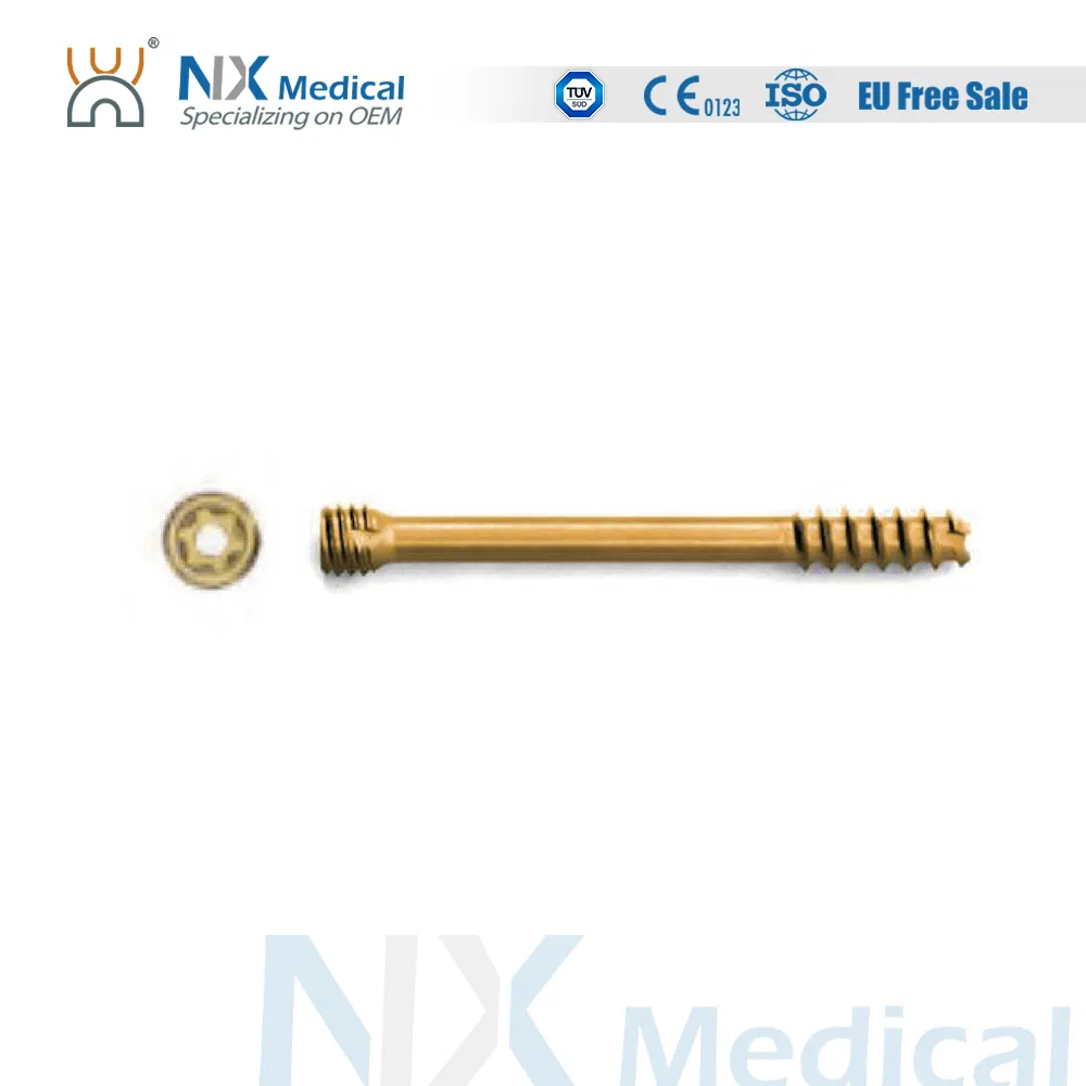 Orthopedic Implant Cannulated Headless Compression Screw Bone Screw Fixation