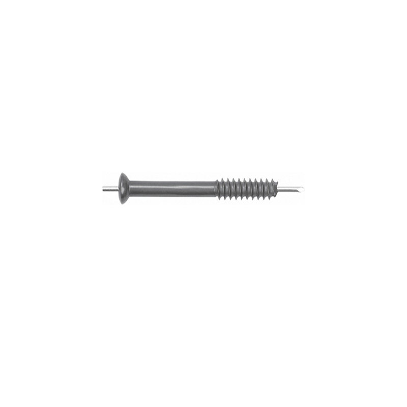 Jin Medical Orthopedic Small Cannulated Screw with CE