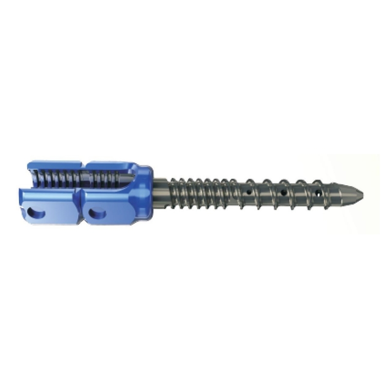 Medical Cement Spine Cannulated Pedicle Screw