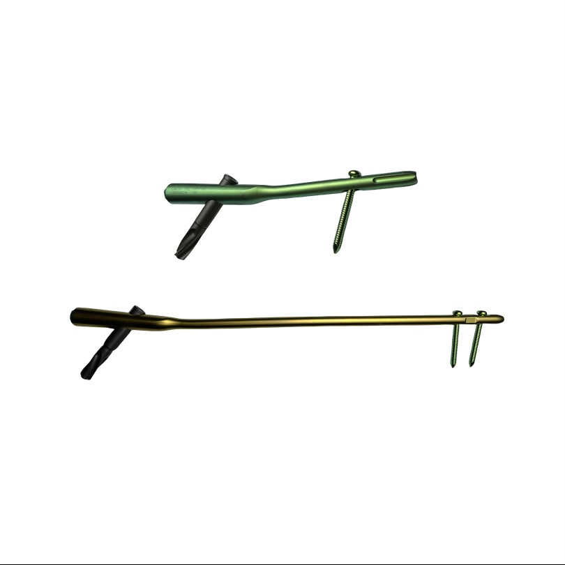 Orthopedic PFNA Femoral Implant PFN Proximal Femur Intramedullary Interlocking Nail