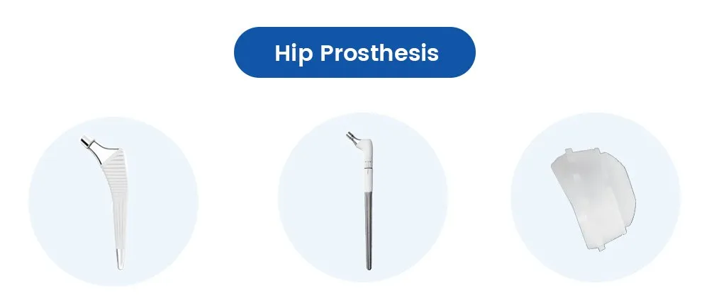 Hip Prothesis Parts