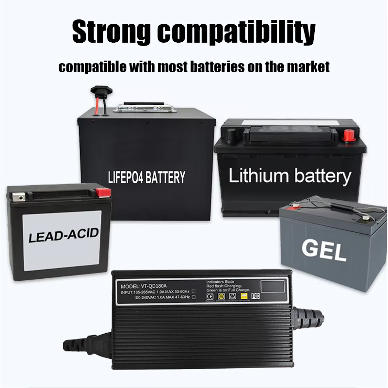 Professional LiFePO4 Lead Acid Battery Charger 12V 24V 48V Smart Golf Cart Charger Factory Supply OEM Logo