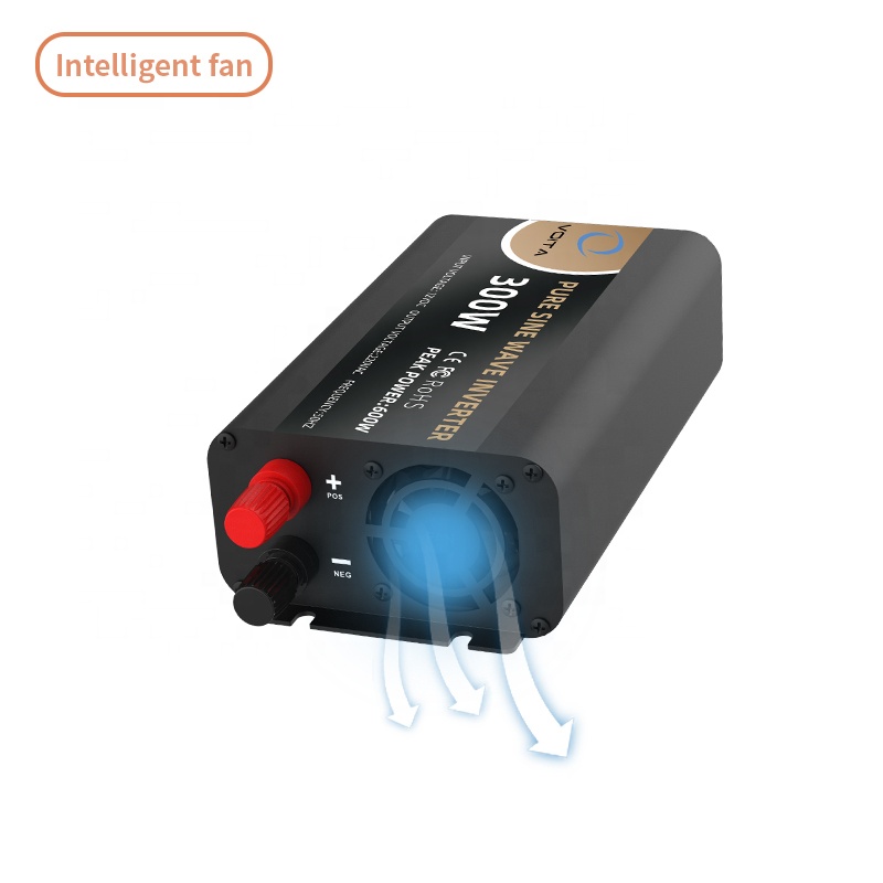 DC 12V 24V 48V 60V to AC 110V 120V 220V 230V 240V Converter Pure Sine Wave Power Inverter for Car