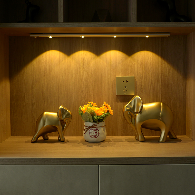 Intelligent Motion Sensor Closet Light Kitchen Bedroom Under Cabinet Light LED Night Lights