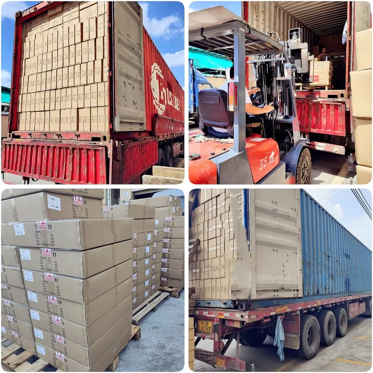 Packing, Payment and Shipping Details
