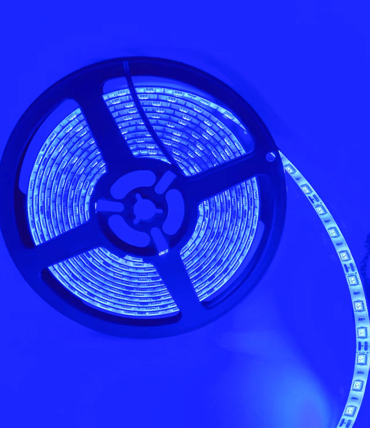 IP65 Waterproof Blue Smart Led Light DC12V SMD5050 60leds/m Copper Cuttable Remote Control 3500K Warm White 2-Year Light