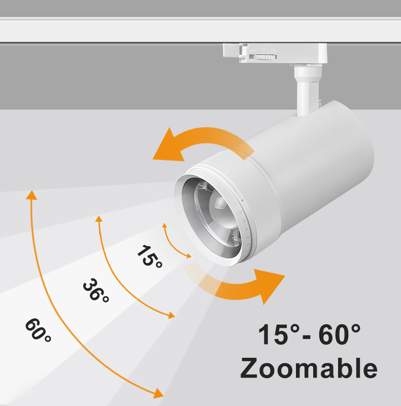 Track Light Detail