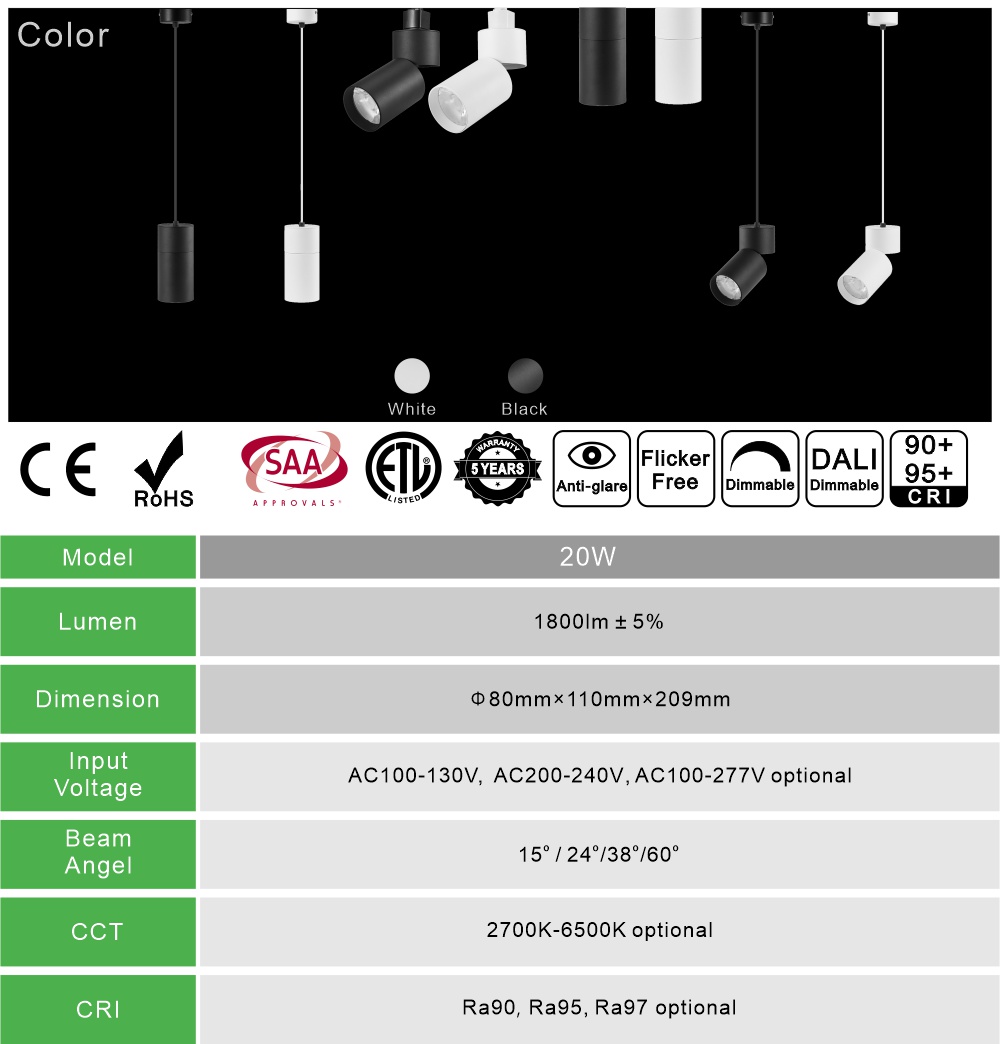 Master A COB LED DownLight