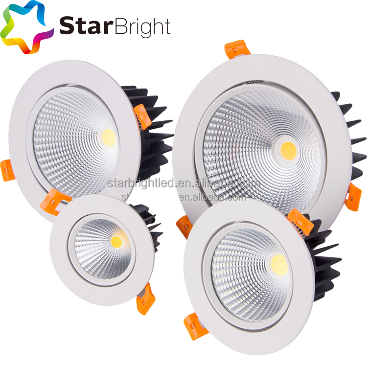 Factory Price Adjustable 10W-40W COB LED Ceiling Downlight Spot Light Modern Design Aluminum Housing LED Downlight