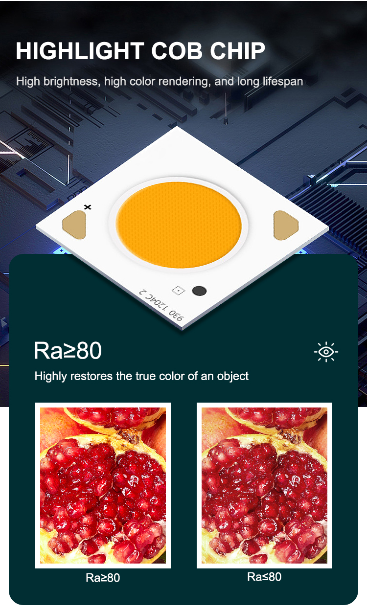 Product Display 6