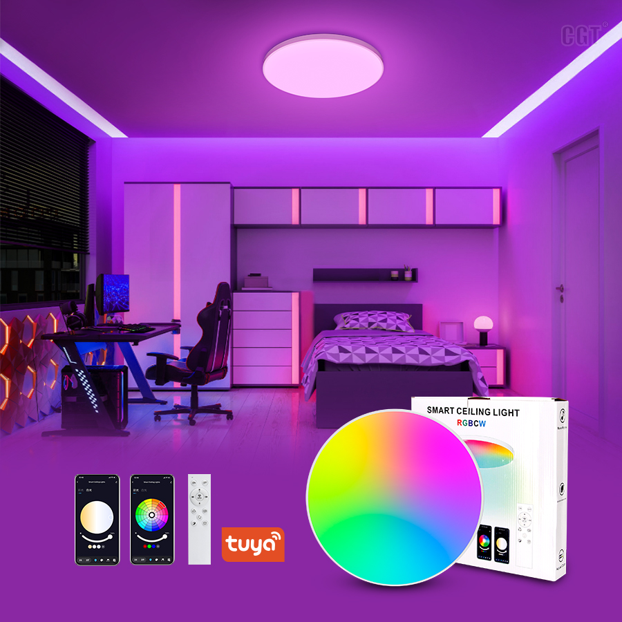 Stock Round Smart Control Ceilling Light Modern Style 20W LED Ceiling Light TUYA App Controlled Smart Lighting for Kitchens