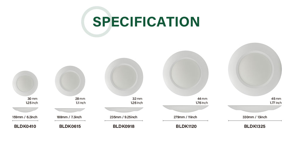LED Disc Light Main