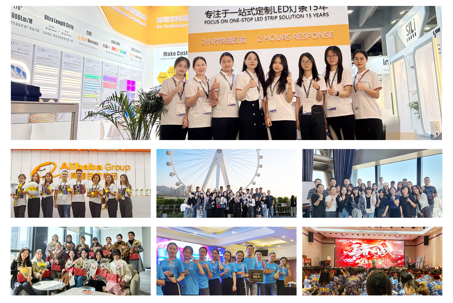 Company Team