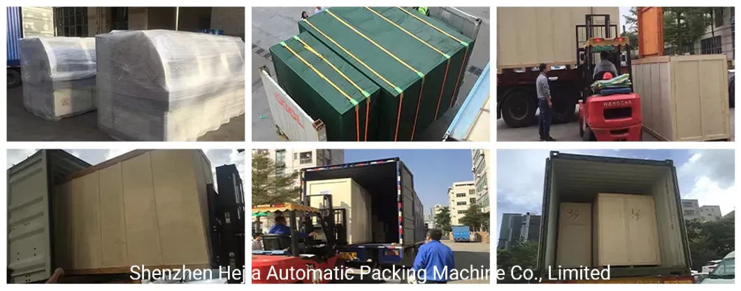 التغليف والشحن