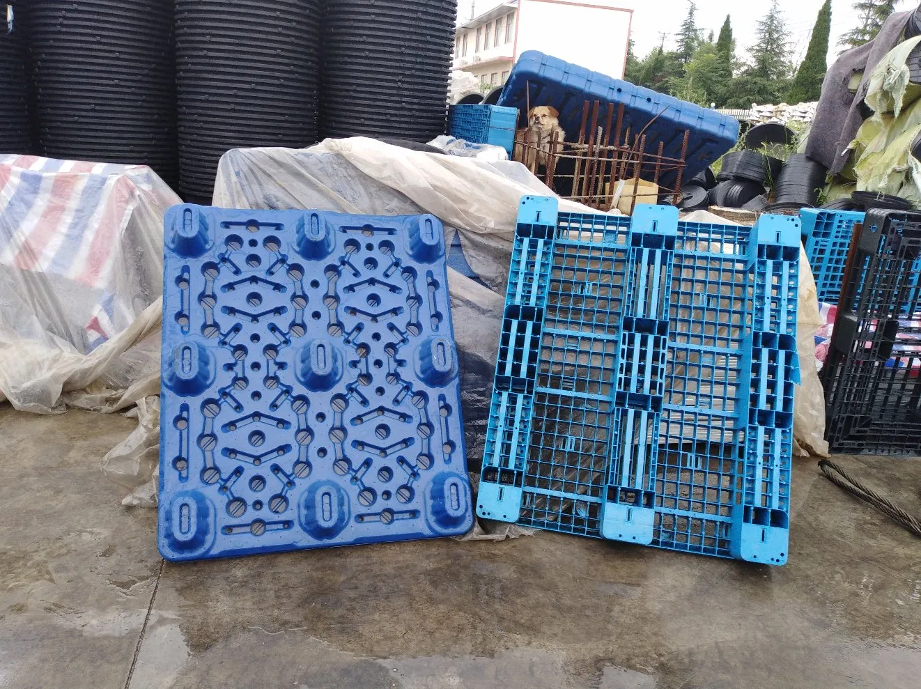 هوايو 2023 آلة صنع المنصات آلة نفخ المنصات آلة نفخ قوالب البلاستيك للمنصات HDPE