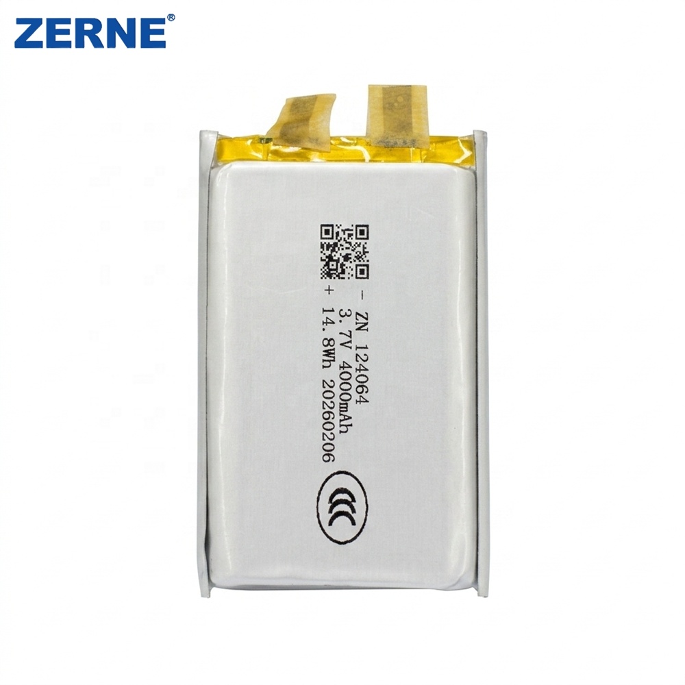 Battery Detail 1