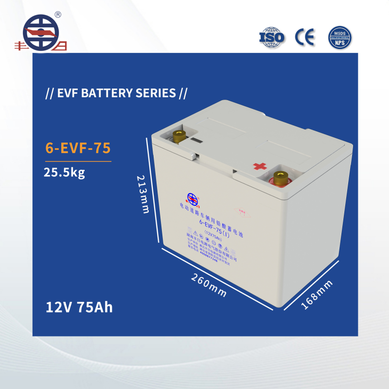 6-EVF-75 Electric Vehicle Batteries AGM Rechargeable 75Ah Lead-acid Sealed Battery 12V
