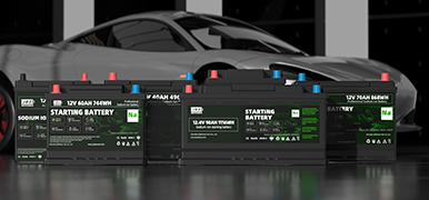 Sodium Battery