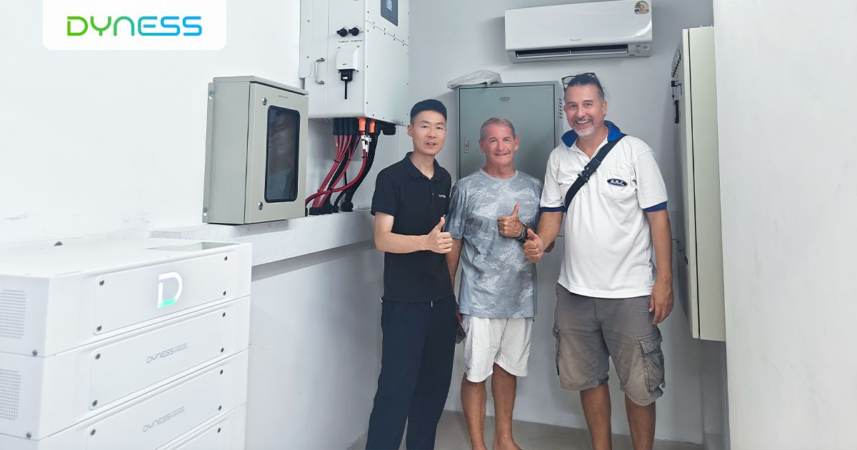 Dyness 50kwh HV commercial Battery Storage system Hot Sales Energy Storage Stackable lifepo4 battery with solis inverter