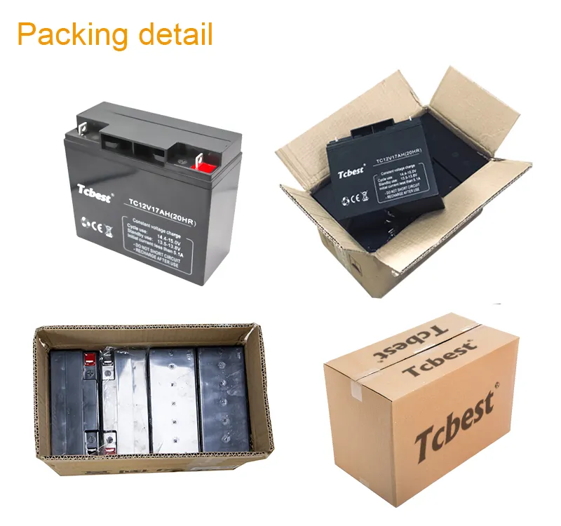 Packing Details