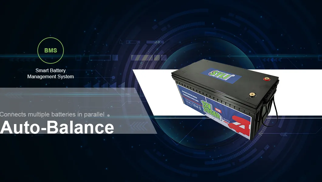 Performance Battery Pack