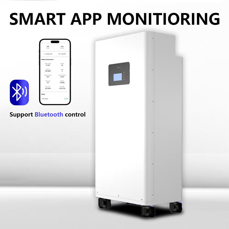 51.2V 314AH 16KWH DIY LiFePO4 Energy Storage Unit with CAN Communication Wall Mount Design for Household off Grid Solar Energy