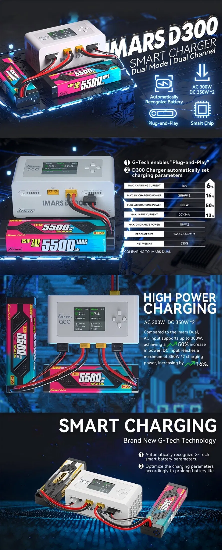 D300 Smart Charger View 1