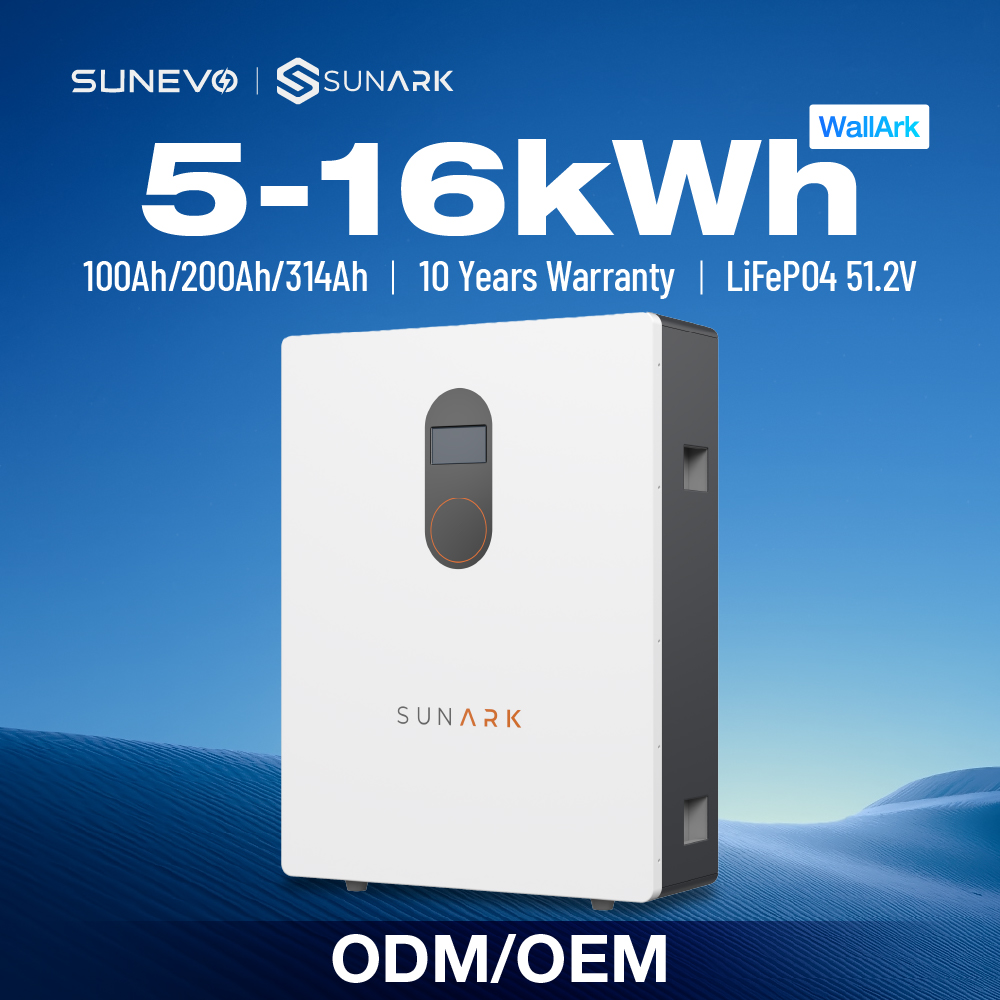 Sunark 51.2V 200Ah Lithium Energy Storage Battery with 5kwh 10kwh 16kwh Capacity for Small Commercial Power Backup