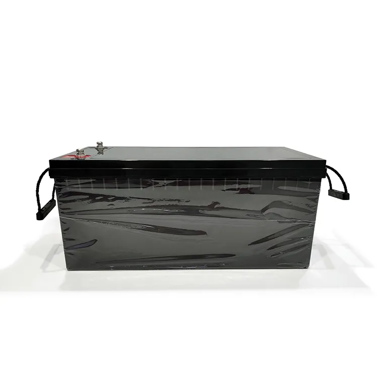 LiFePO4 Battery 2