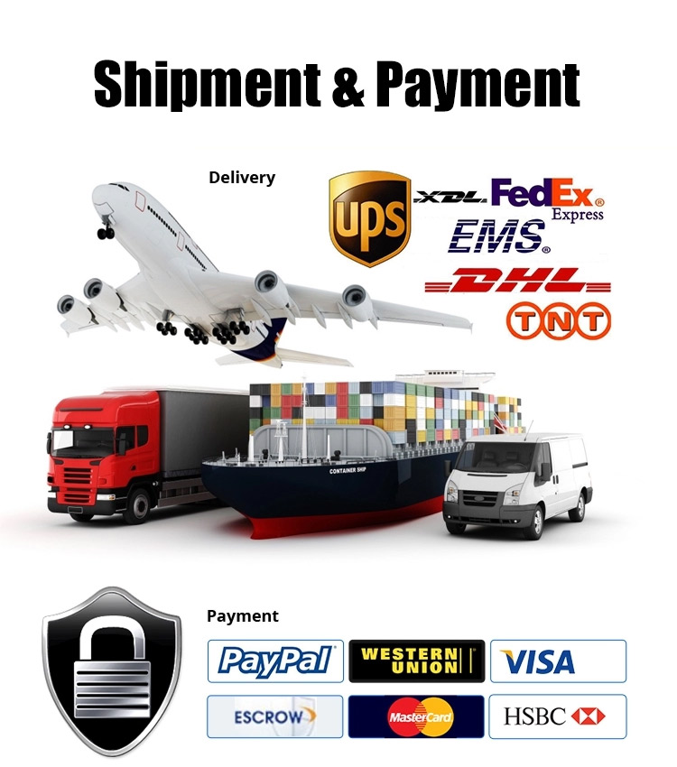 Shipping Options