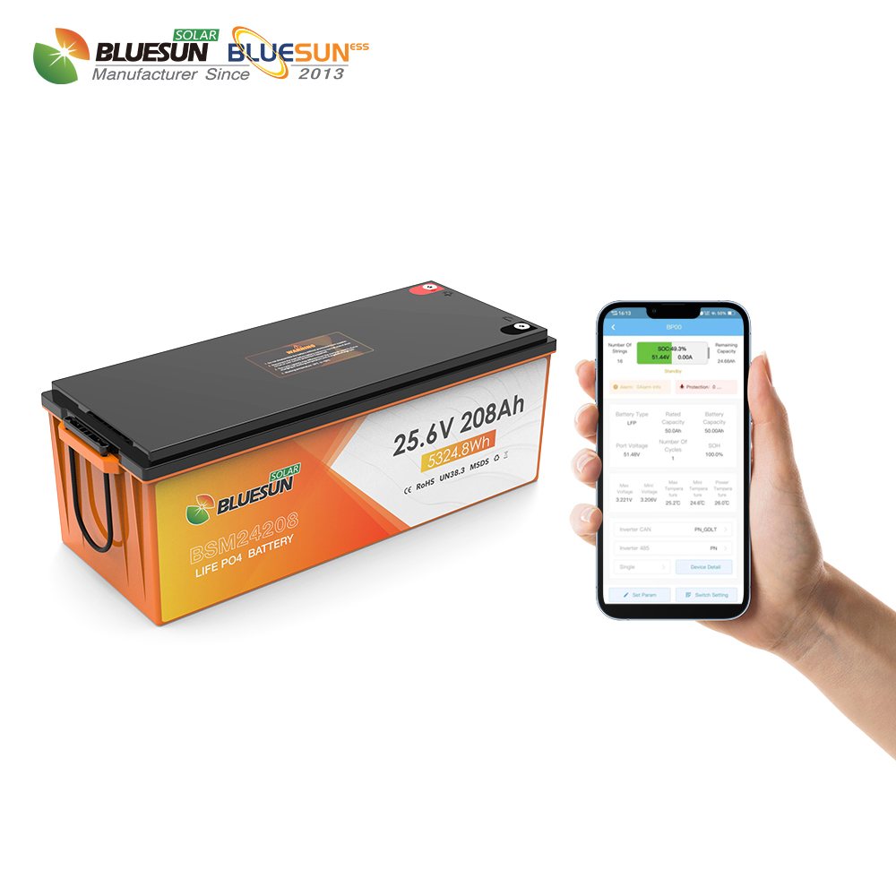Wholesale 12V Lithium Ion Batteries Price 12Volt 60Ah100Ah 150Ah 200Ah 300Ah Lifepo4 Solar Battery Charger for RV Camp Golf Cart