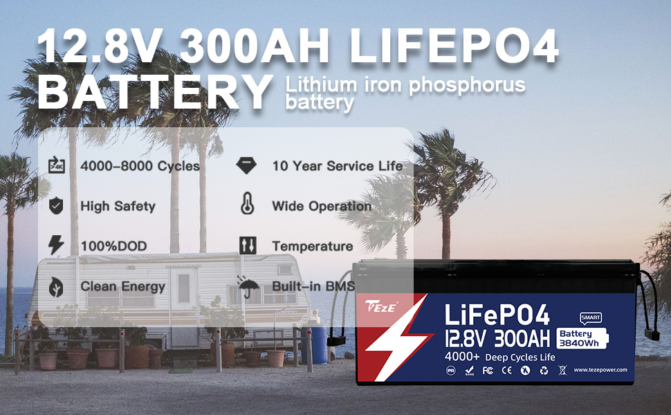 LiFePO4 Lithium Battery Details