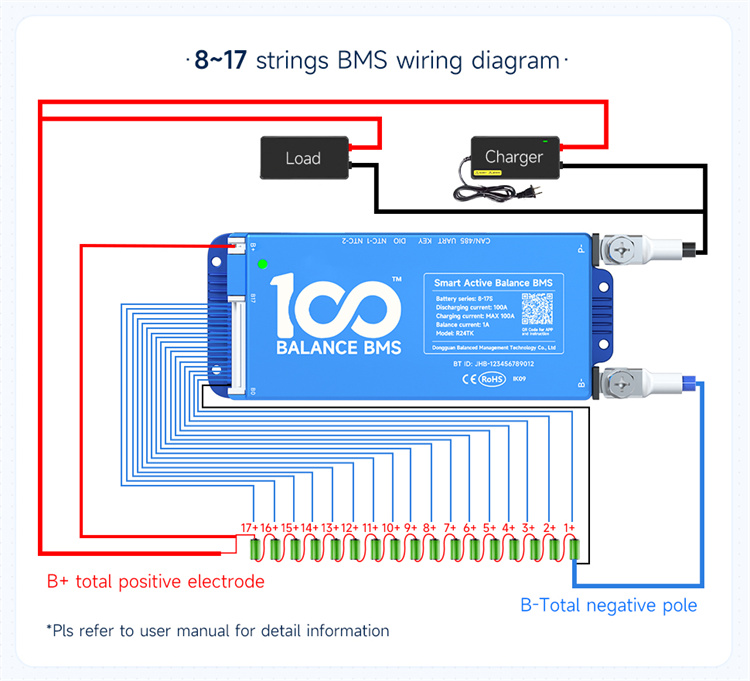 BMS Connection Layout 1