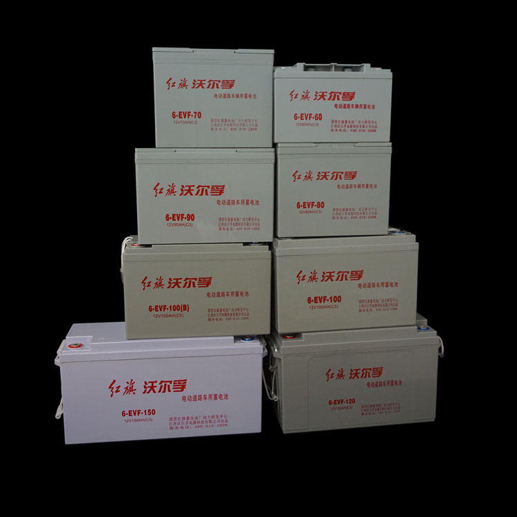 Electric Tricycle Battery Details