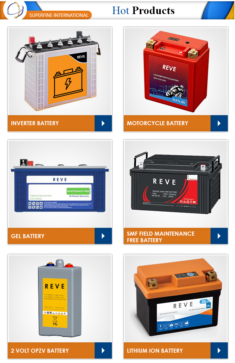 Main Products