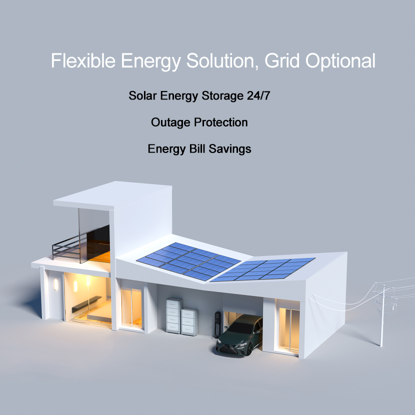 BLUETTI EU/AU/US Warehouse Stock Home Use Energy Storage System with BMS Battery and Phase Selection