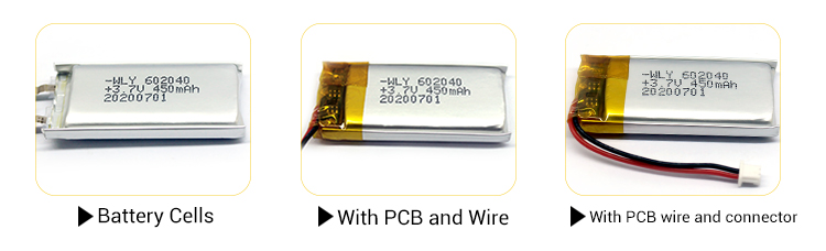 Customized Battery Packs