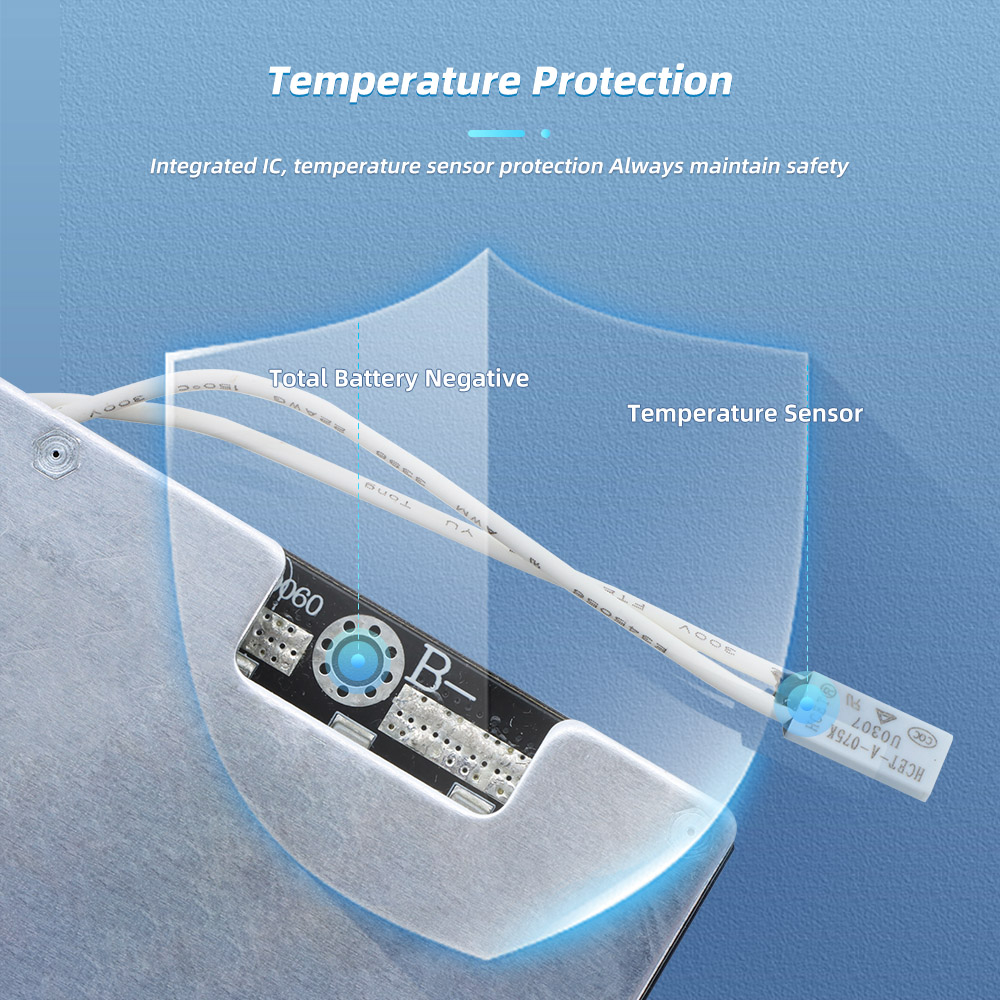 BMS Detail 3