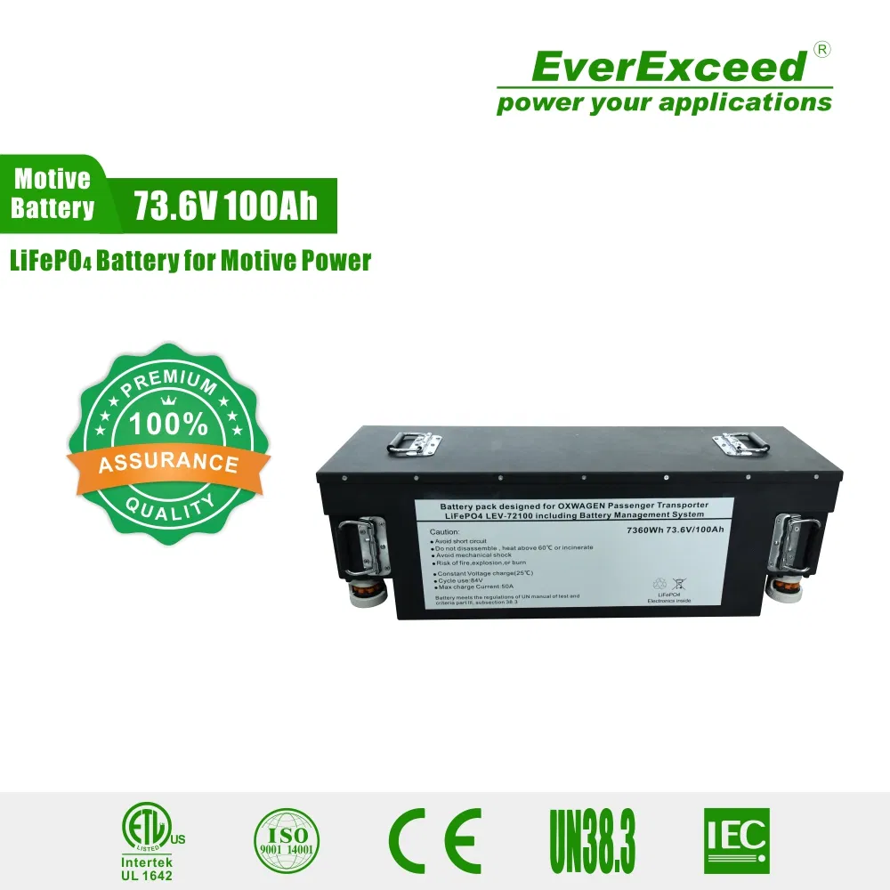 Rechargeable 24V 100ah Solar Storage Li Ion Lithium Ion LiFePO4 Lithium Battery for RV/Golf Cart/Yacht/Marine/Motorhome/Agv