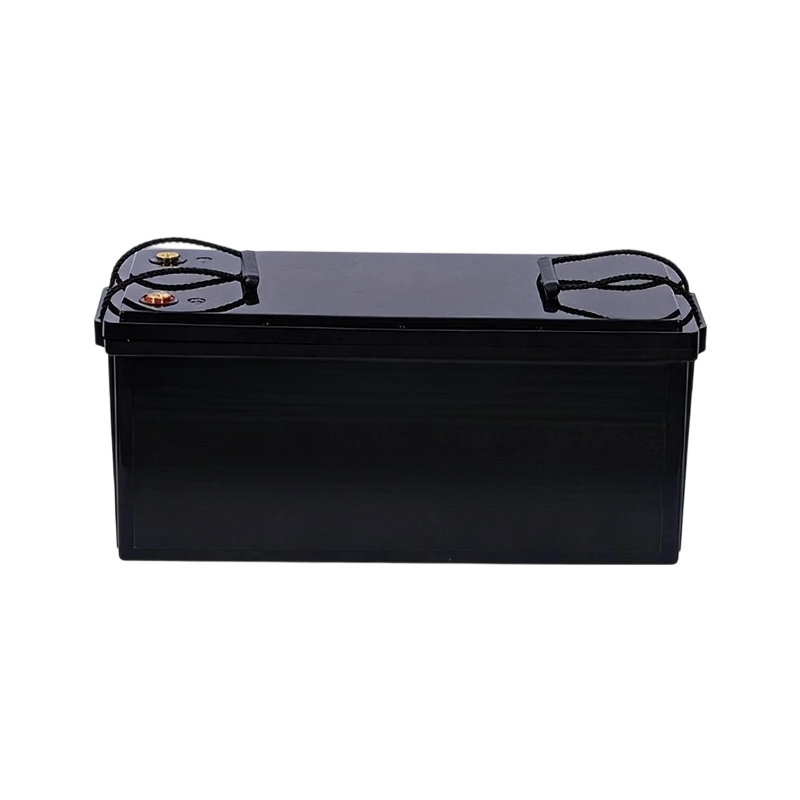 Grade a 16S 51.2V 48V 10Ah 20Ah 30Ah 40Ah 50Ah 60Ah 70Ah 80Ah 90Ah 100Ah 105Ah LiFePO4 Batteries for Low Speed Electric Vehicles